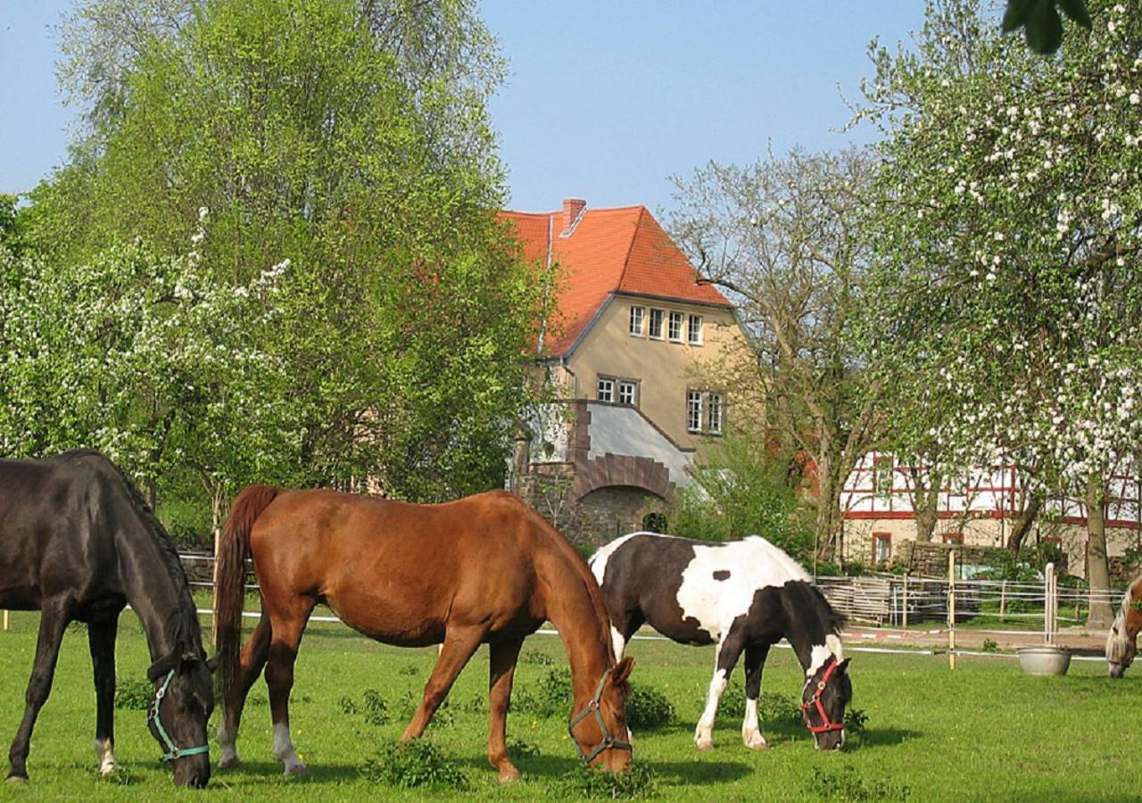 Apartamento Gutshaus Von Bismarck An der Schmucke Exterior foto